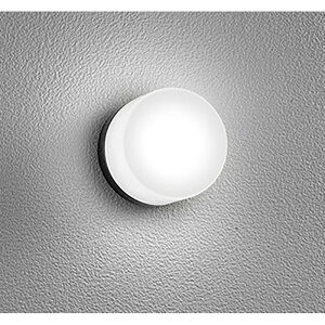 �I�[�f���b�N�@�o�X���[�����C�g�E�E�ߏꃉ�C�g�@�y�i�ԁFOG 264 002WR�z