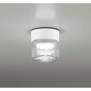 �I�[�f���b�N�@�o�X���[�����C�g�E�E�ߏꃉ�C�g�@�y�i�ԁFOG 264 046NR�z