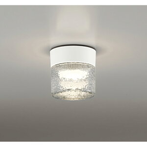 �I�[�f���b�N�@�o�X���[�����C�g�E�E�ߏꃉ�C�g�@�y�i�ԁFOG 264 046LR�z