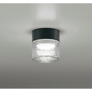 �I�[�f���b�N�@�o�X���[�����C�g�E�E�ߏꃉ�C�g�@�y�i�ԁFOG 264 047NR�z