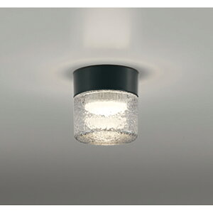 �I�[�f���b�N�@�o�X���[�����C�g�E�E�ߏꃉ�C�g�@�y�i�ԁFOG 264 047LR�z