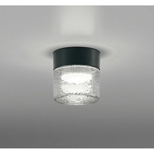 �I�[�f���b�N�@�o�X���[�����C�g�E�E�ߏꃉ�C�g�@�y�i�ԁFOG 264 047WR�z