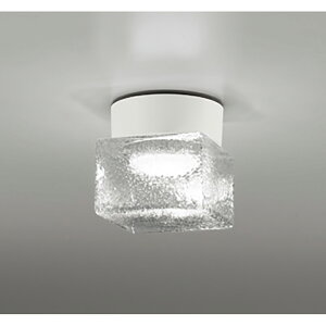 �I�[�f���b�N�@�o�X���[�����C�g�E�E�ߏꃉ�C�g�@�y�i�ԁFOG 264 048NR�z