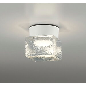 �I�[�f���b�N�@�o�X���[�����C�g�E�E�ߏꃉ�C�g�@�y�i�ԁFOG 264 048LR�z