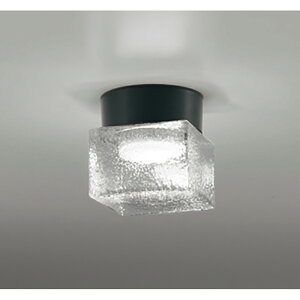 �I�[�f���b�N�@�o�X���[�����C�g�E�E�ߏꃉ�C�g�@�y�i�ԁFOG 264 049NR�z