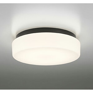 �I�[�f���b�N�@�o�X���[�����C�g�E�E�ߏꃉ�C�g�@�y�i�ԁFOW 269 012LR�z