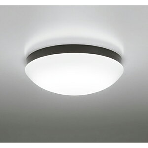 �I�[�f���b�N�@�o�X���[�����C�g�E�E�ߏꃉ�C�g�@�y�i�ԁFOW 269 014NR�z