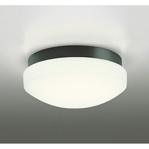 �I�[�f���b�N�@�o�X���[�����C�g�E�E�ߏꃉ�C�g�@�y�i�ԁFOW 269 016LR�z