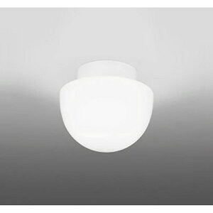 �I�[�f���b�N�@�o�X���[�����C�g�E�E�ߏꃉ�C�g�@�y�i�ԁFOW 269 046NR�z