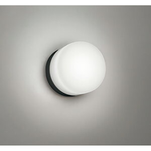 �I�[�f���b�N�@�o�X���[�����C�g�E�E�ߏꃉ�C�g�@�y�i�ԁFOW 269 048NR�z