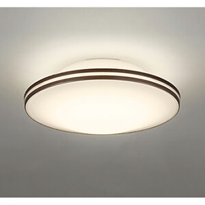 �I�[�f���b�N�@�V�[�����O���C�g�@�y�i�ԁFOL 291 115BR�z