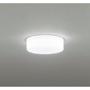 �I�[�f���b�N�@�V�[�����O���C�g�@�y�i�ԁFOL 291 136R�z