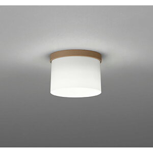 �I�[�f���b�N�@�V�[�����O���C�g�@�y�i�ԁFOL 291 269WR�z