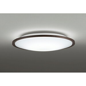 �I�[�f���b�N�@�V�[�����O���C�g�@�y�i�ԁFOL 291 320R�z