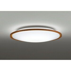 �I�[�f���b�N�@�V�[�����O���C�g�@�y�i�ԁFOL 291 323R�z