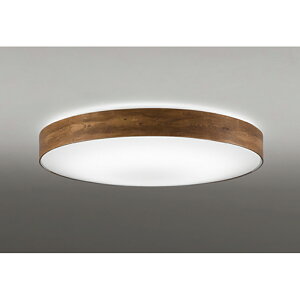 �I�[�f���b�N�@�V�[�����O���C�g�@�y�i�ԁFOL 291 355BCR�z