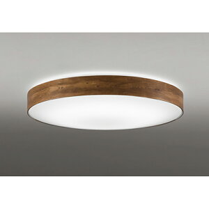 �I�[�f���b�N�@�V�[�����O���C�g�@�y�i�ԁFOL 291 356R�z