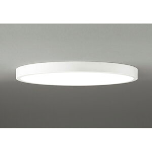 �I�[�f���b�N�@�V�[�����O���C�g�@�y�i�ԁFOL 291 411BR�z