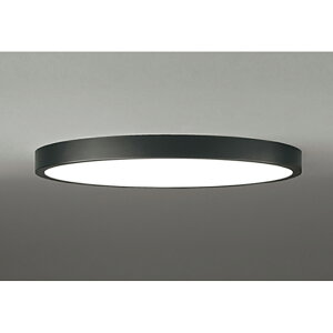 �I�[�f���b�N�@�V�[�����O���C�g�@�y�i�ԁFOL 291 413BR�z