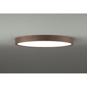 �I�[�f���b�N�@�V�[�����O���C�g�@�y�i�ԁFOL 291 424BR�z