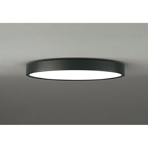 �I�[�f���b�N�@�V�[�����O���C�g�@�y�i�ԁFOL 291 426BR�z