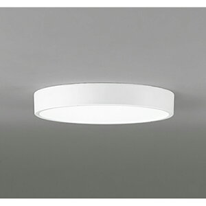 �I�[�f���b�N�@�V�[�����O���C�g�@�y�i�ԁFOL 291 431BR�z