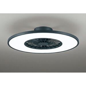 �I�[�f���b�N�@�V�[�����O�t�@���@�y�i�ԁFOL 291 439BR�z