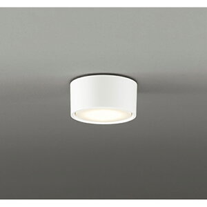 �I�[�f���b�N�@�V�[�����O���C�g�@�y�i�ԁFOL 291 446LDR�z