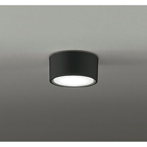 �I�[�f���b�N�@�V�[�����O���C�g�@�y�i�ԁFOL 291 447NDR�z