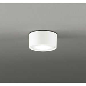 �I�[�f���b�N�@�V�[�����O���C�g�@�y�i�ԁFOL 291 448WDR�z