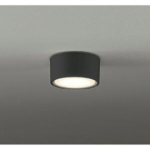 �I�[�f���b�N�@�V�[�����O���C�g�@�y�i�ԁFOL 291 449LDR�z