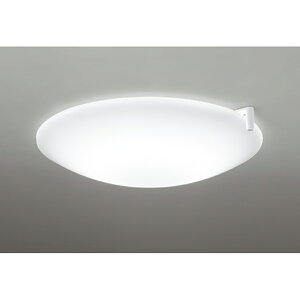 �I�[�f���b�N�@�V�[�����O���C�g�@�y�i�ԁFOL 291 498CR�z