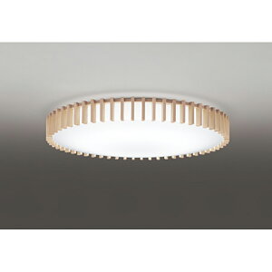 �I�[�f���b�N�@�V�[�����O���C�g�@�y�i�ԁFOL 291 504R�z