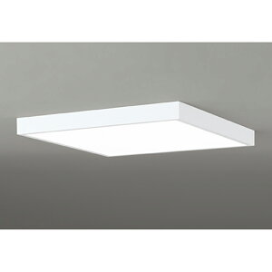 �I�[�f���b�N�@�V�[�����O���C�g�@�y�i�ԁFOL 291 509BR�z