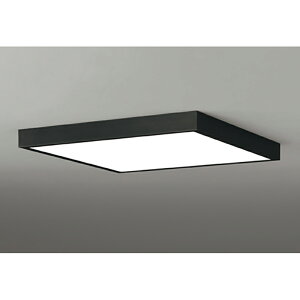 �I�[�f���b�N�@�V�[�����O���C�g�@�y�i�ԁFOL 291 512BR�z