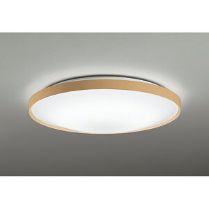 �I�[�f���b�N�@�V�[�����O���C�g�@�y�i�ԁFOL 291 555BR�z