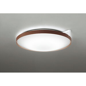 �I�[�f���b�N�@�V�[�����O���C�g�@�y�i�ԁFOL 291 560CR�z