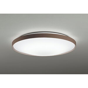 �I�[�f���b�N�@�V�[�����O���C�g�@�y�i�ԁFOL 291 562R�z