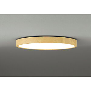 �I�[�f���b�N�@�V�[�����O���C�g�@�y�i�ԁFOL 291 565BR�z