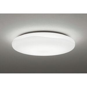 �I�[�f���b�N�@�V�[�����O���C�g�@�y�i�ԁFOL 291 587BR�z