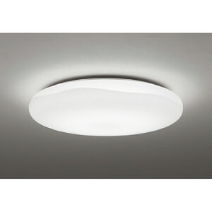 �I�[�f���b�N�@�V�[�����O���C�g�@�y�i�ԁFOL 291 587BRE�z