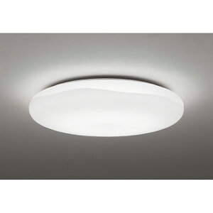 �I�[�f���b�N�@�V�[�����O���C�g�@�y�i�ԁFOL 291 590R�z