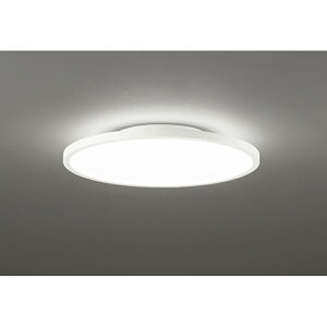 �I�[�f���b�N�@�V�[�����O���C�g�@�y�i�ԁFOL 291 618BR�z