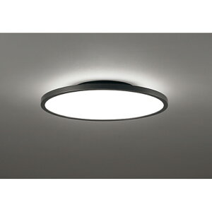 �I�[�f���b�N�@�V�[�����O���C�g�@�y�i�ԁFOL 291 619BR�z