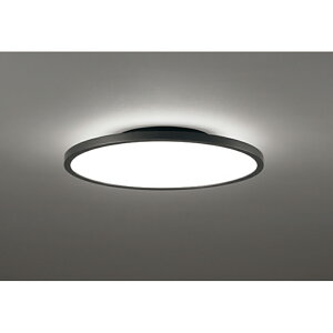 �I�[�f���b�N�@�V�[�����O���C�g�@�y�i�ԁFOL 291 620BR�z