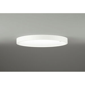 �I�[�f���b�N�@�V�[�����O���C�g�@�y�i�ԁFOL 291 622CR�z