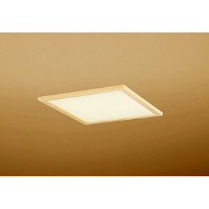 I[fbN@aƖ x[XCg@yiԁFOD 301 208P2Ez