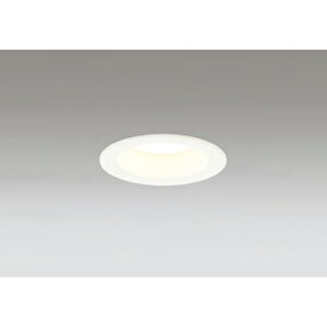 �I�[�f���b�N�@�o�X���[���E�E�ߏꃉ�C�g LED��̌^ ���C��SB �񒲌� �d���F�@�y�i�ԁFOD 361 200R�z