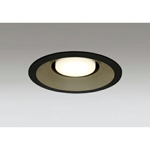 �I�[�f���b�N�@�_�E�����C�g GX53 �g�U�z�� LED�d���t���b�g�` ���M����� 100W �x�[�X�_�E�� LC-FREE�@�u���b�N�@�y�i�ԁFOD 361 233BCR�z