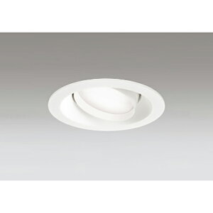 �I�[�f���b�N�@�_�E�����C�g GX53 �g�U�z�� LED�d���t���b�g�` ���M����� 60W ���j�o�[�T�� �񒲌� �����F�@�I�t�z���C�g�@�y�i�ԁFOD 361 245WDR�z